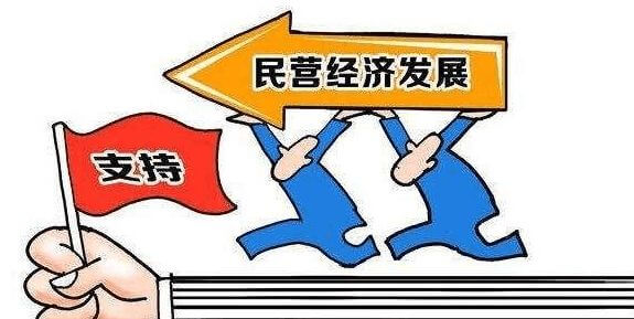 三元前驱体固态电池可以用吗